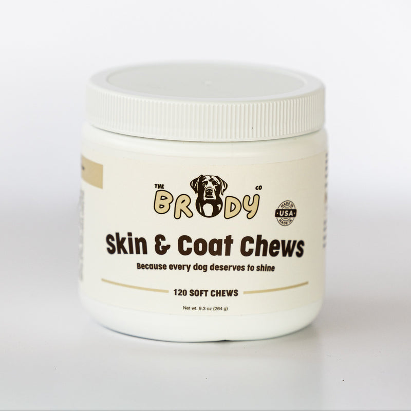 A white plastic jar of 'The Brody Co' Skin & Coat Chews for dogs, featuring a white screw-top lid and a cream-colored label with black and gold text.