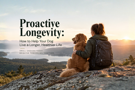 Woman sitting with a golden retriever on a mountain overlook at sunset, illustrating proactive longevity and a longer, healthier life for dogs.