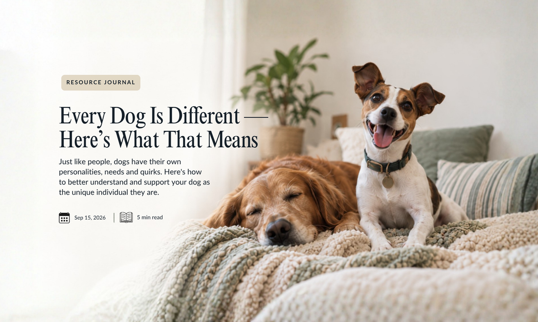 Every Dog Is Different — Here's What That Means