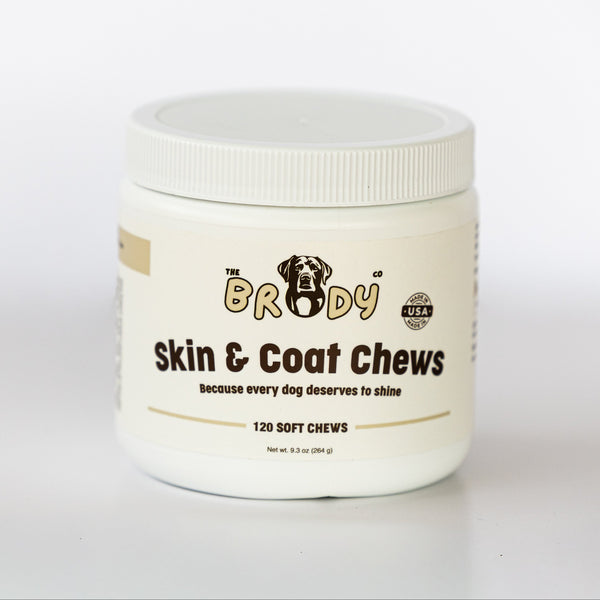 A white plastic jar of 'The Brody Co' Skin & Coat Chews for dogs, featuring a white screw-top lid and a cream-colored label with black and gold text.
