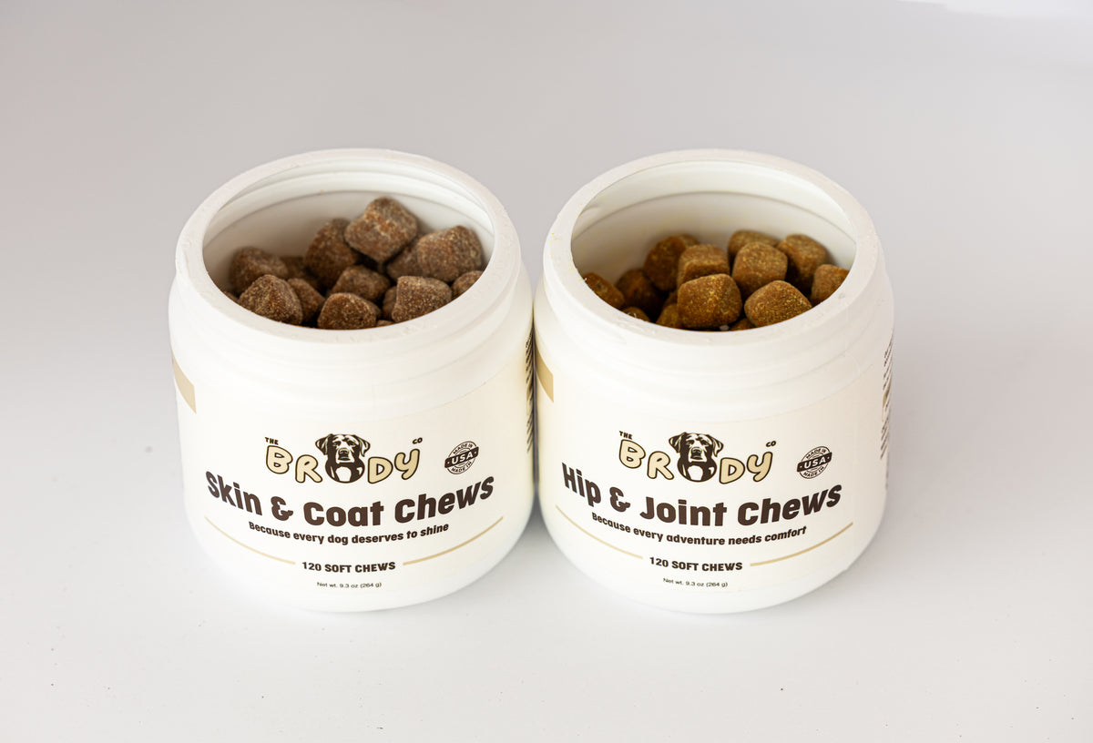 Two white plastic jars of Brady dog supplements on a white background, one labeled 'Skin & Coat Chews' and the other 'Hip & Joint Chews', both filled with brown chews.