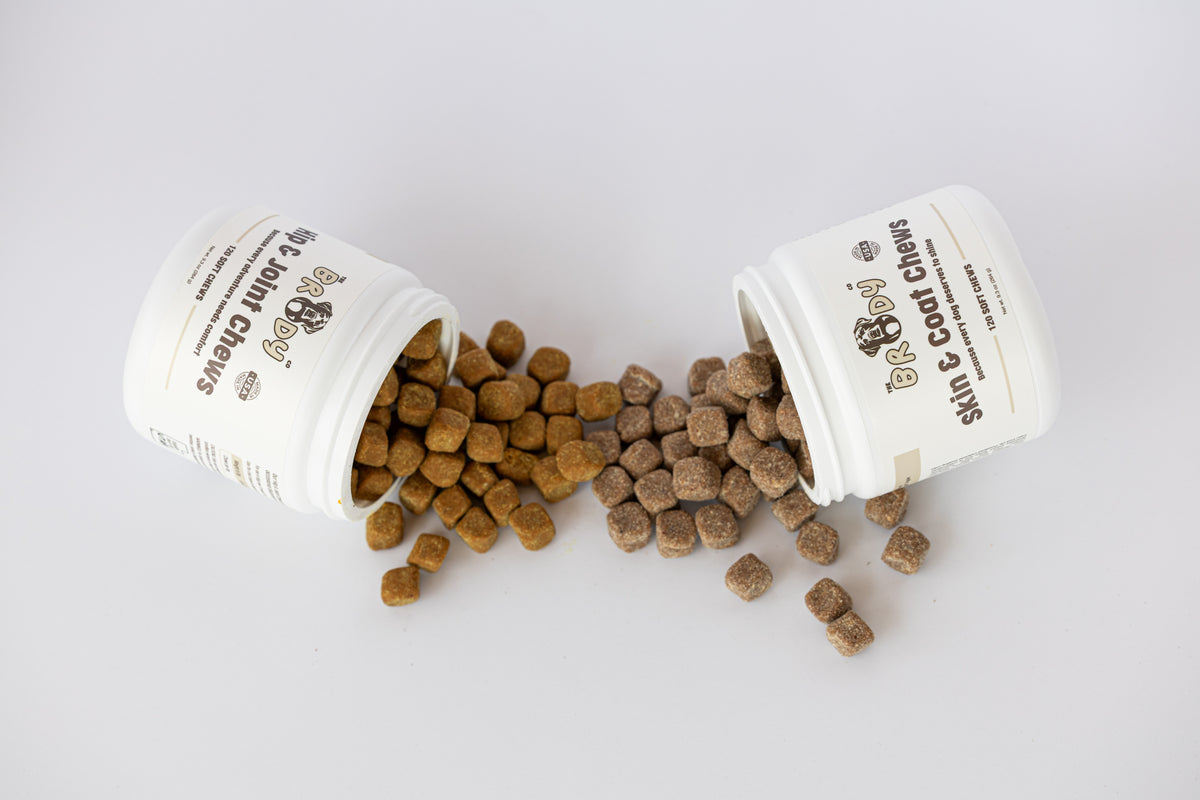 Two white plastic jars of dog joint chews tipped over with brown kibble-style chews spilling out onto a clean white surface. The labels read 'B&J Dog Joint Chews' and 'Skin & Coat Chews.